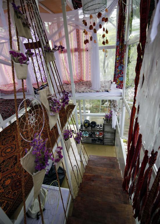 Lang Boho Homestay ดาลัด ภายนอก รูปภาพ